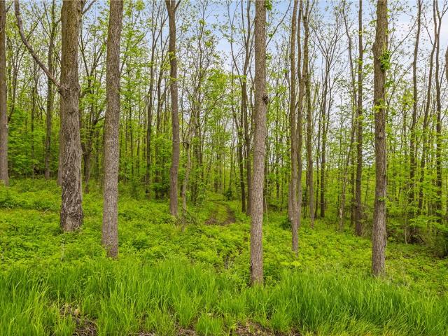 Land for sale in Honeoye, New York