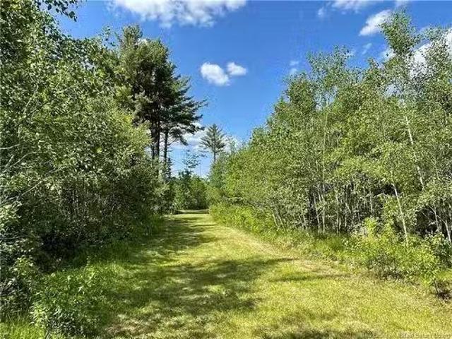 House for sale in Black River, New Brunswick