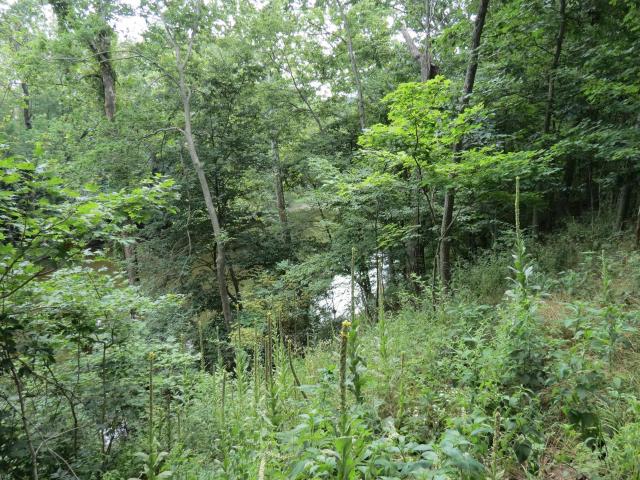 Land for sale in Tippecanoe, Indiana