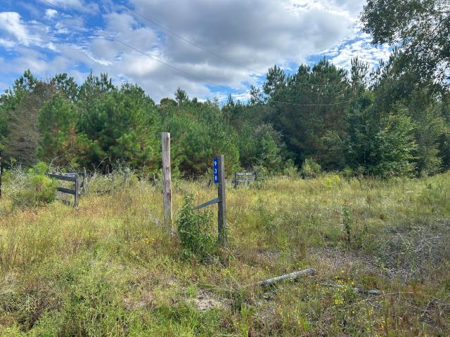 Land for sale in Mas Old Field Landing, Cottageville