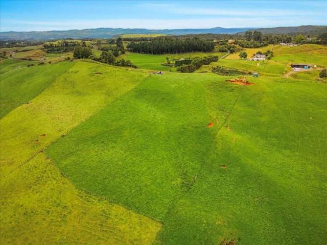 Property for sale in Bay Of Plenty