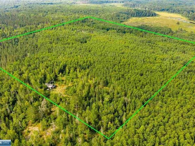 Land for sale in Cook, Minnesota
