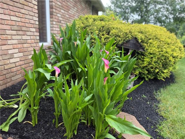 House for sale in Minerva, Ohio