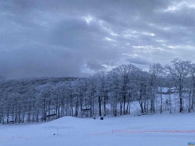 Condo for sale in Diamond Hill, Wintergreen