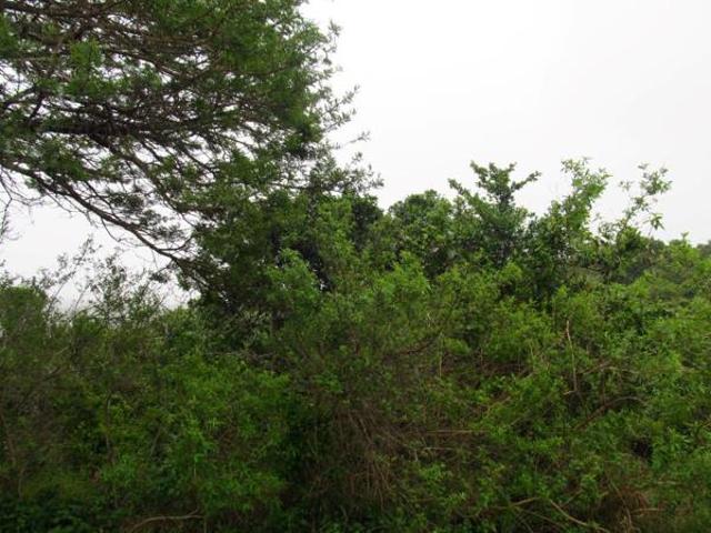 Land for sale in Bisho, Eastern Cape