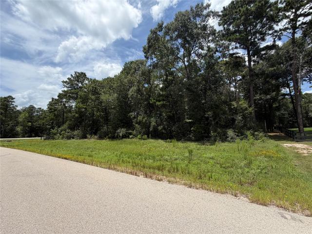 Land for sale in Walker, Texas