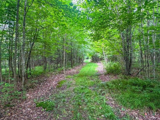 Land for sale in Park Falls, Wisconsin