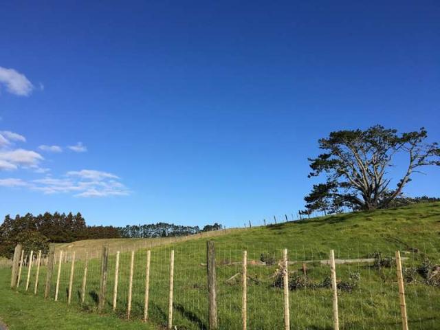 Property for sale in Kawau Island, Oroua County