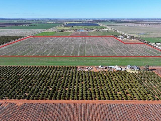 Property for sale in Yoogali, New South Wales