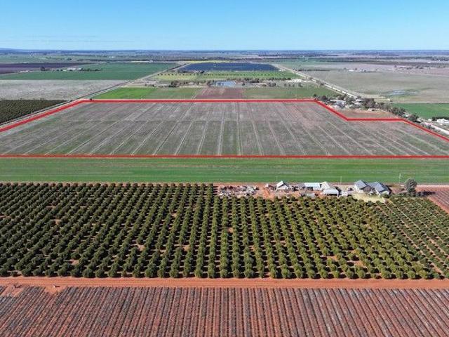 Property for sale in Yoogali, New South Wales
