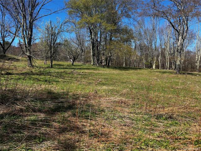 Land for sale in Bethel, New York