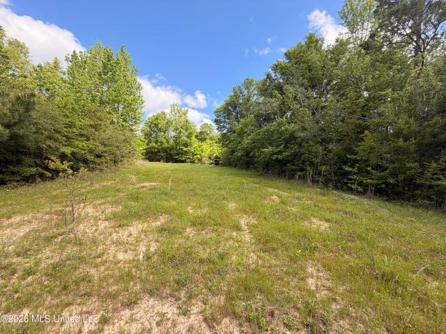 Land for sale in Monticello, Mississippi