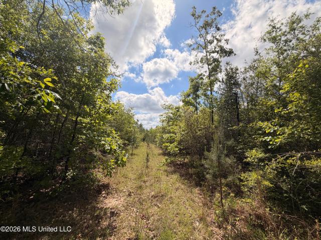 Land for sale in Monticello, Mississippi