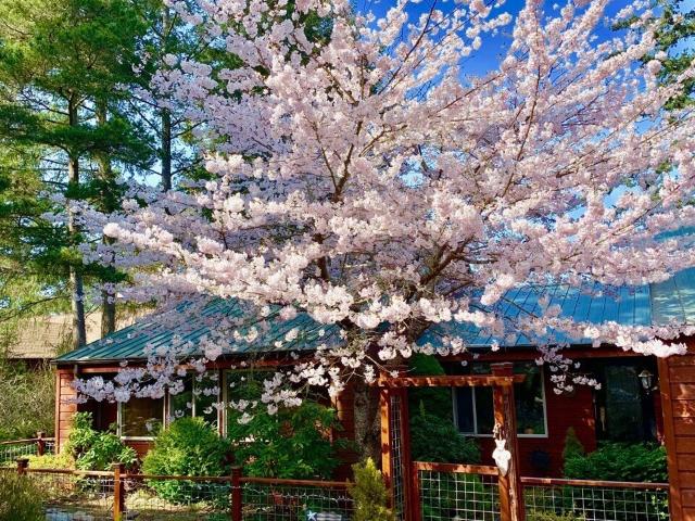 House for sale in Friday Harbor, San Juan County