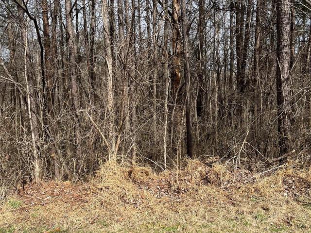 Land for sale in Alamance, North Carolina