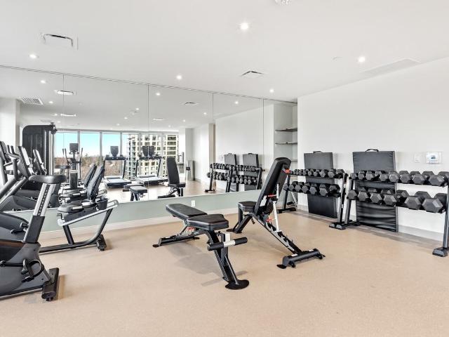 Apartment for rent in Little Italy, Ottawa