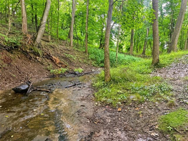 Land for sale in New York