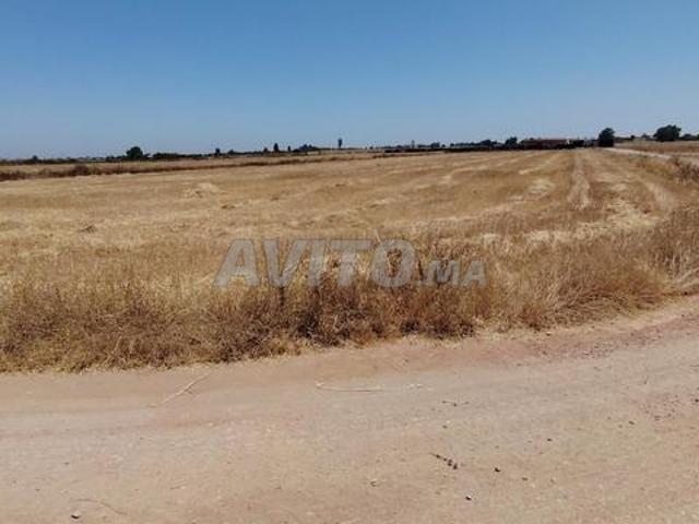 Propriété vente à Slimane, Gharb-Chrarda-Beni Hssen