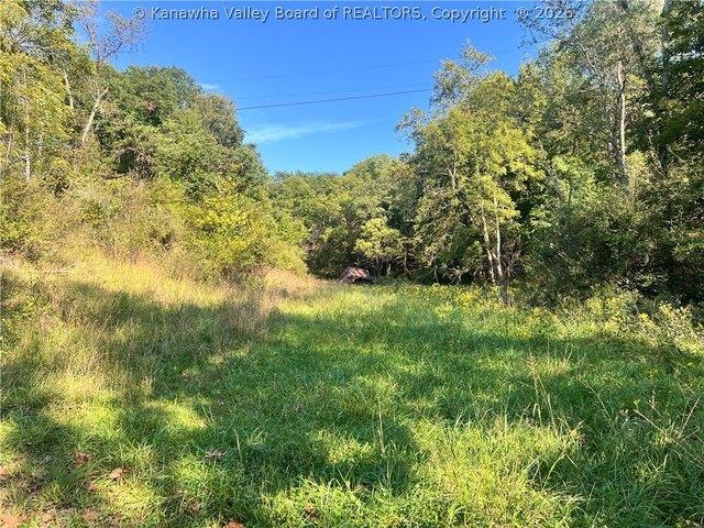 Land for sale in Henderson, West Virginia