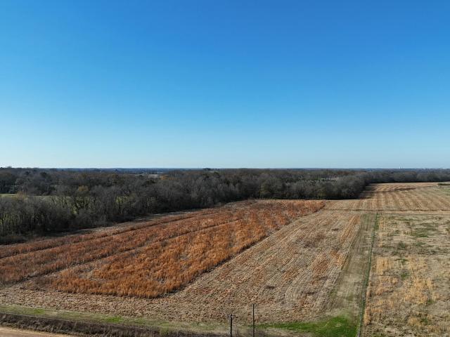 Land for sale in Canton, Mississippi