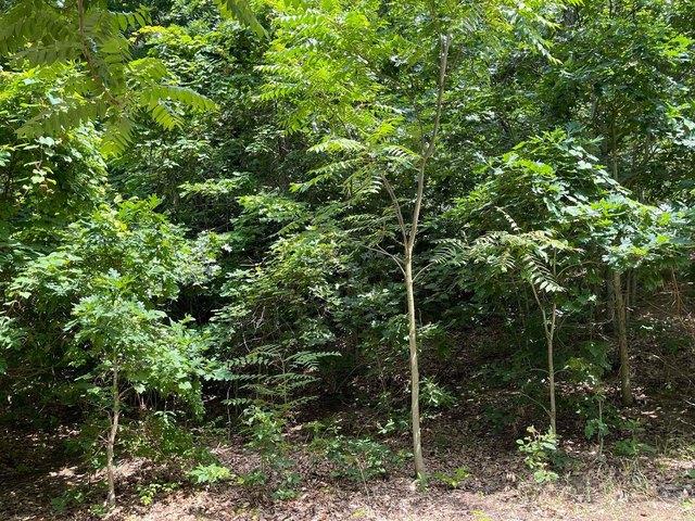 Land for sale in Bridgman, Michigan