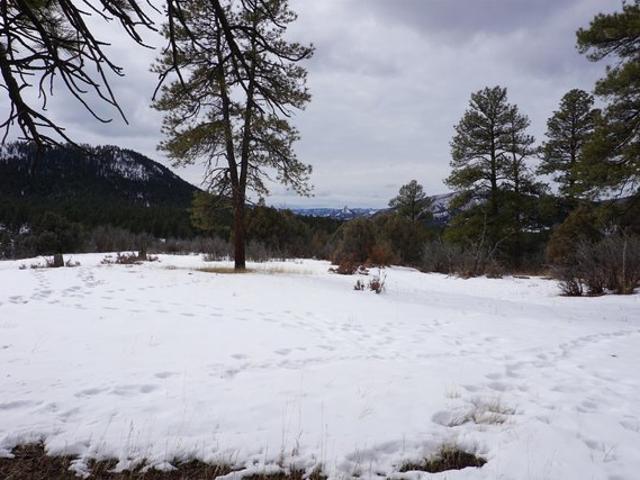 Land for sale in Pagosa Springs, Archuleta County