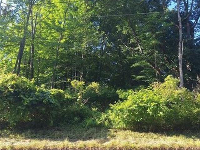 Land for sale in Endicott, New York
