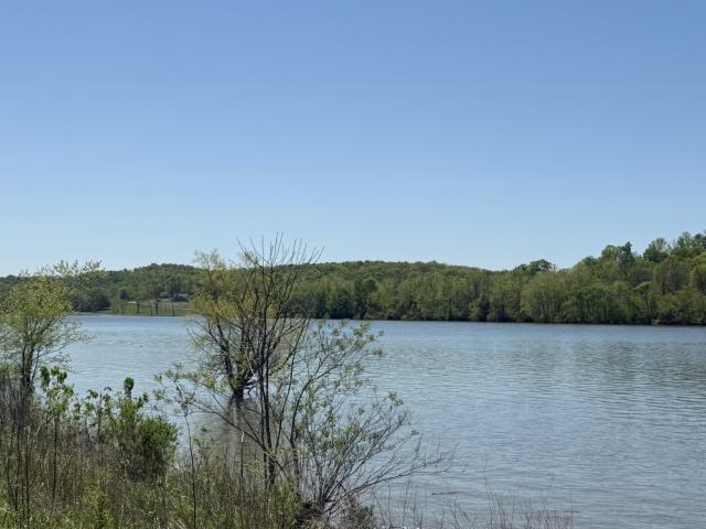 Land for sale in Clifton, Middle Tennessee