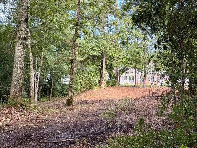 Land for sale in Carriere, Mississippi