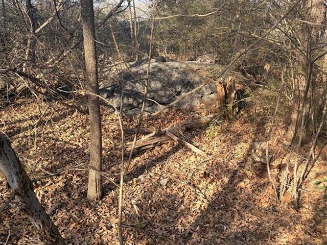 Land for sale in Dallas, Texas
