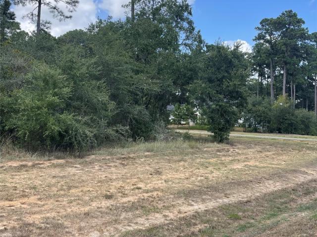 Land for sale in Plantersville, Grimes County