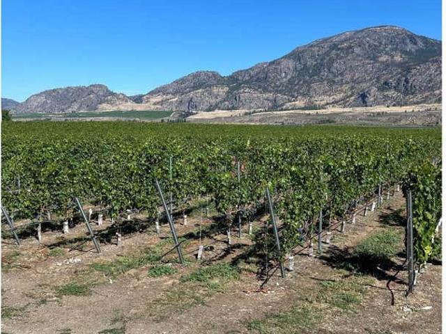 Property for sale in Osoyoos, British Columbia