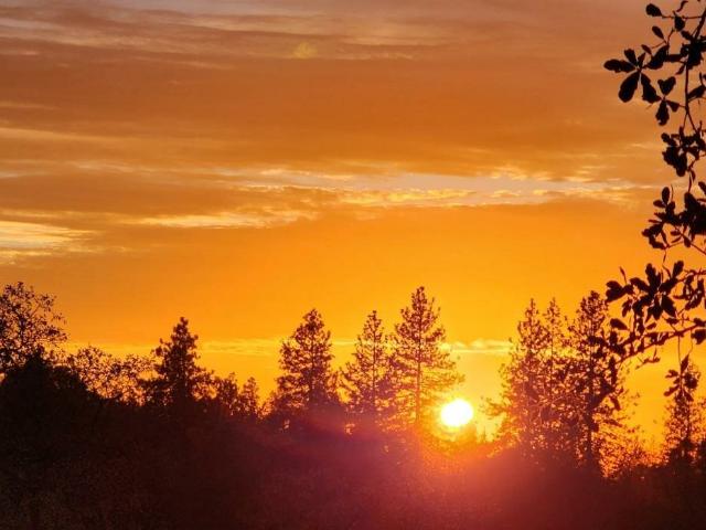 House for sale in Placerville