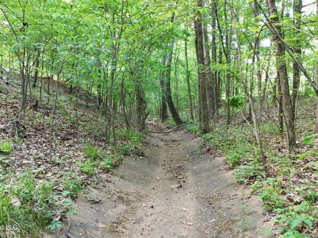 Land for sale in Sardis, Mississippi