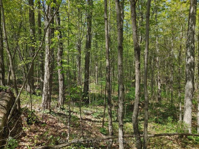Land for sale in North Kawartha, Ontario