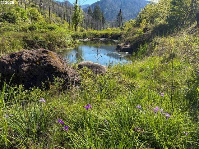 Land for sale in Oregonia