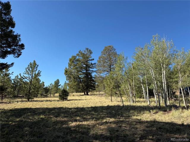 Land for sale in Hartsel, Colorado