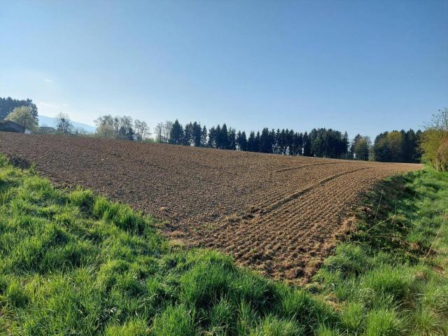 Immobilie kaufen in Globasnitz, Kärnten