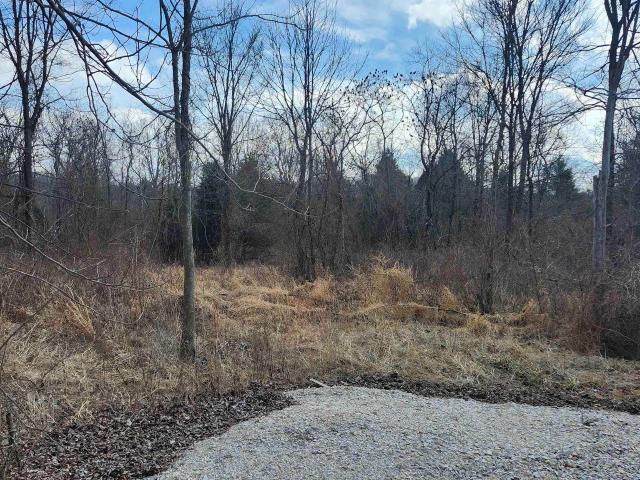 Land for sale in Shoals, Indiana