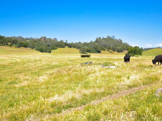 Land for sale in Sonora, California