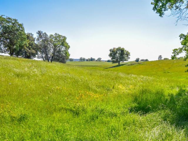 Land for sale in Sonora, California