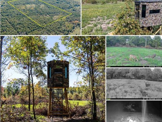 Land for sale in Arkdale, Town of Strongs Prairie