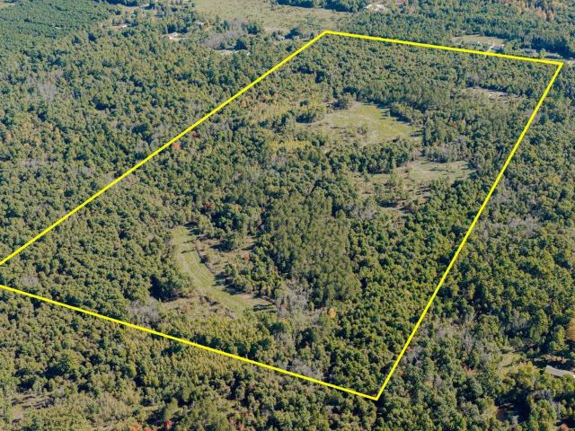 Land for sale in Town of Big Flats, Adams County