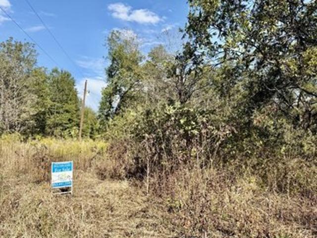 Land for sale in Mound Bayou, Bolivar County