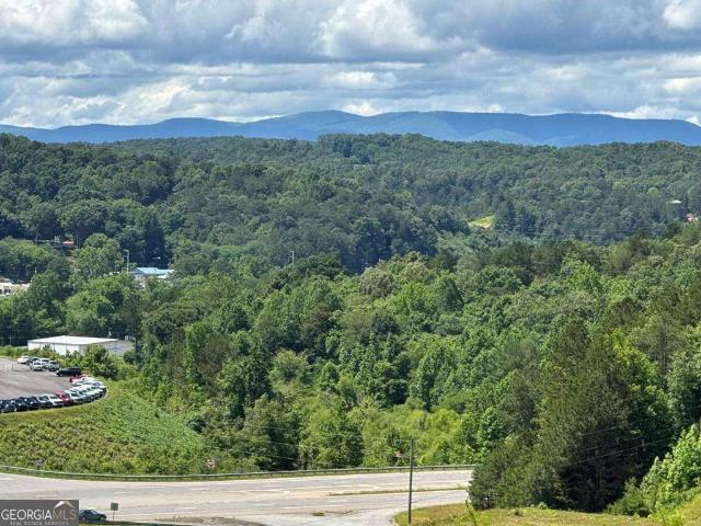 Commercial for sale in Gilmer, Georgia