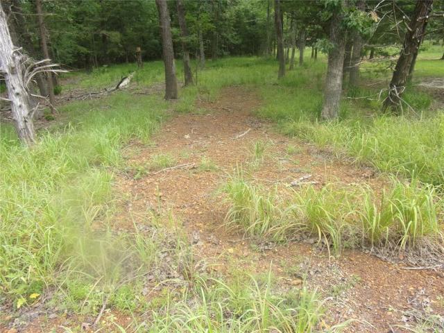 Land for sale in Ben Wheeler, Texas