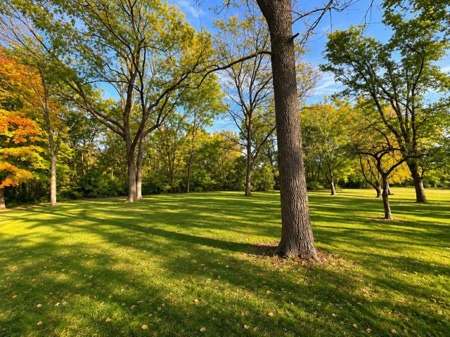 House for sale in Tiskilwa, Bureau County