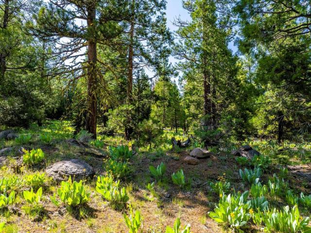 Land for sale in Modoc, California