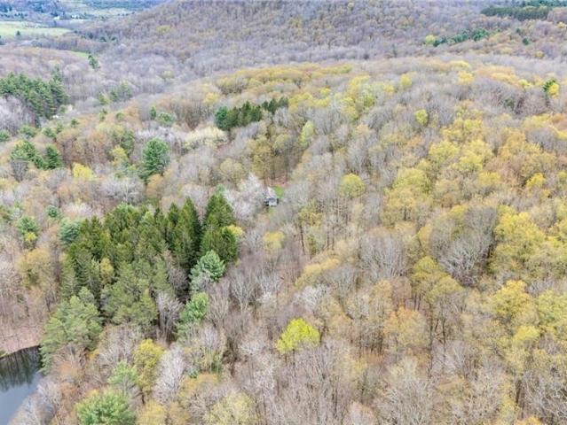 Land for sale in Town of Clarksville, Town of Cuba
