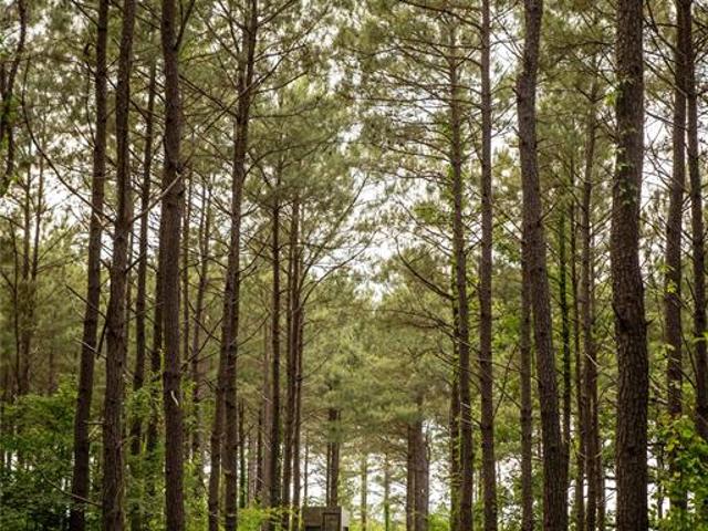 Land for sale in Linden, Texas